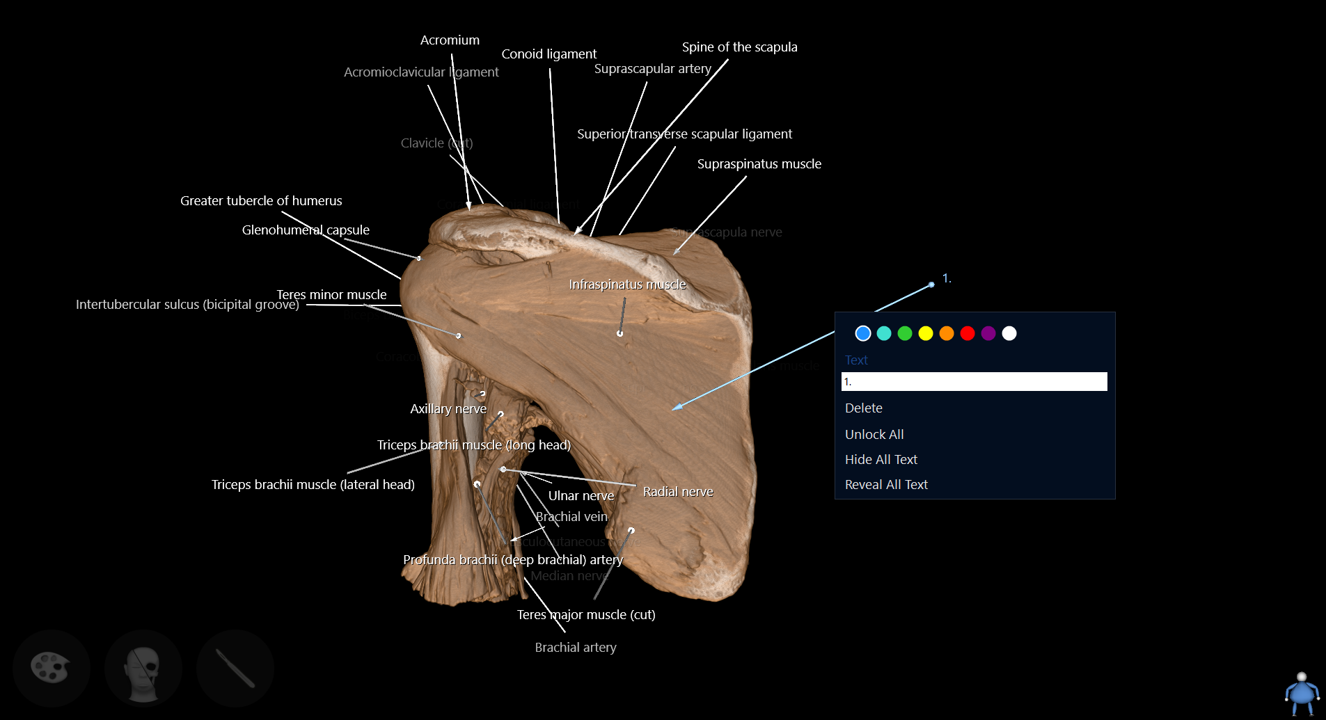 Arrow annotations/labels – Resource Hub
